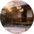 刘总